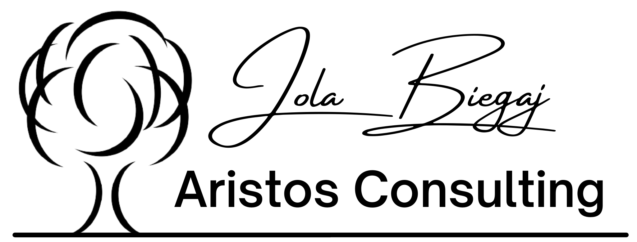 Aristos Consulting, LLC